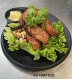 Best G3 NAM TOD in Houston, TX